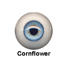 【Sold out】Eyeco亚眼 P系列 Cornfolower