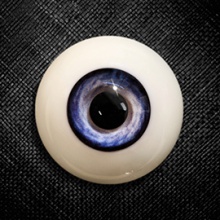 【Sold out】Mako树脂眼 型号:SC-004