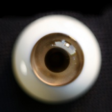 【Sold out】Mako树脂眼 型号:GL-010