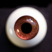 【Sold out】Mako树脂眼 型号:IB-001
