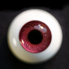 【Sold out】Mako树脂眼 型号:IB-004