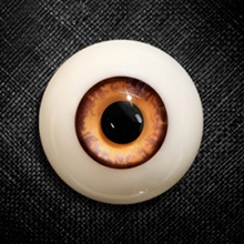 【Sold out】Mako树脂眼 型号:TA-020
