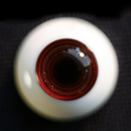 【Sold out】Mako树脂眼 型号:AS-006