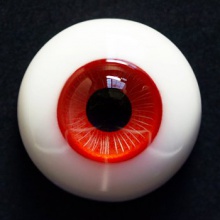 【代购】ED眼 ED系列 ED19