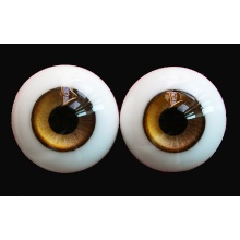 【代购】ED眼 Special系列 SP05