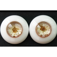 【Sold out】ED眼 Unique系列 Blossom_002