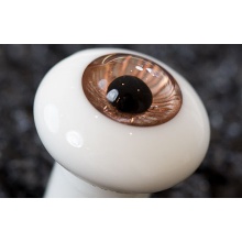 【代购】Bakery眼 Copper