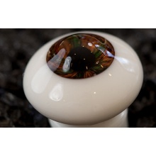 【代购】Bakery眼 Forest