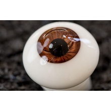 【代购】Bakery眼 Rootbeer