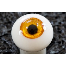 【代购】Bakery眼 Sunny