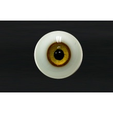 【代购】MY眼 Rugular系列 Antique C