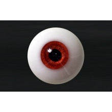 【代购】MY眼 Rugular系列 Copper