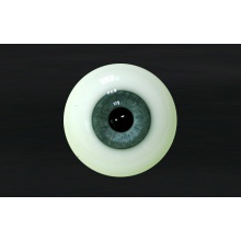 【代购】MY眼 Rugular系列 Dandy Gray