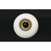 【代购】MY眼 Rugular系列 Gold