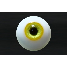 【代购】MY眼 Rugular系列 Lemon