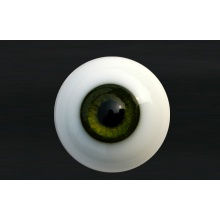 【代购】MY眼 Rugular系列 Olive Green