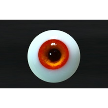 【代购】MY眼 Rugular系列 Orange