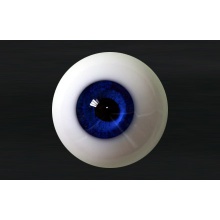 【代购】MY眼 Rugular系列 S23 Midnight Blue