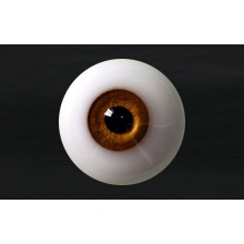 【代购】MY眼 Rugular系列 S24 Oke