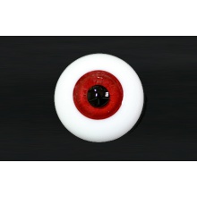 【代购】MY眼 Rugular系列 Y1 Red Stein