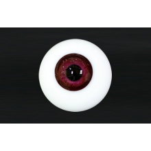 【代购】MY眼 Rugular系列 Y3 Purple Red