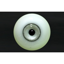 【代购】MY眼 Rugular系列 Zombie Gray