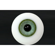 【代购】MY眼 Limited系列 #6