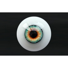 【代购】MY眼 Albino&Custom系列 AC20