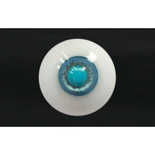 【代购】MY眼 Albino&Custom系列 AC24