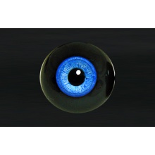 【代购】MY眼 Albino&Custom系列 AC27