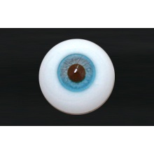 【代购】MY眼 Albino&Custom系列 AC34