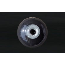 【代购】MY眼 Albino&Custom系列 AC50