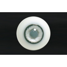 【代购】MY眼 Albino&Custom系列 AC51