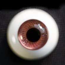 【Sold out】Mako树脂眼 型号:AS-004