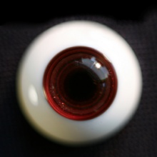 【Sold out】Mako树脂眼 型号:AS-006