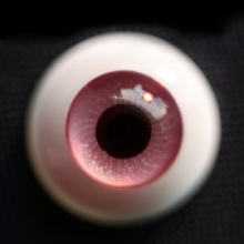 【Sold out】Mako树脂眼 型号:AS-010