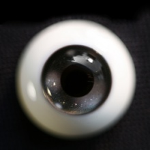 【Sold out】Mako树脂眼 型号:AS-013