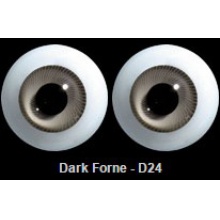 【代购】英眼 STD系列(D24) Dark Forne