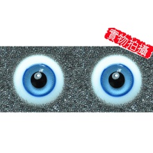 【代购】英眼 STD系列(D24) Light Blue