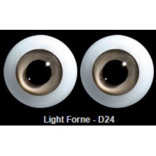 【代购】英眼 STD系列(D24) Light Forne
