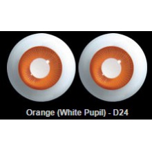 【代购】英眼 STD系列(D24) Orange (White Pupil)