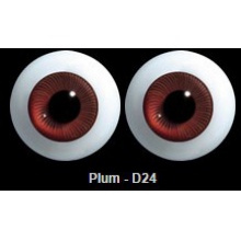 【代购】英眼 STD系列(D24) Plum