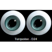 【代购】英眼 STD系列(D24) Turquoise