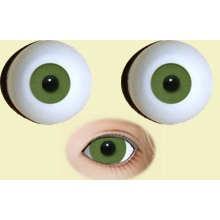 【Sold out】德眼 Art Eyes系列#8183 彩瞳