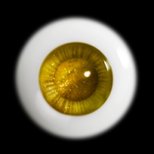 【现货】Mako眼 20MM 型号:MOON-007