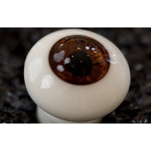 【现货】Bakery眼 20MM 型号:Rootbeer