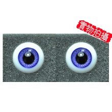 【现货】特价秒杀 英眼 14mm P/W系列 Cobalt Blue