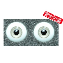 【现货】特价秒杀 英眼 18mm P/W系列 Light Forne 低弧
