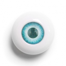 【代购】Souldoll眼 型号:NP99