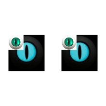 【特价5折】每人限购1对 Ersa Flora亚眼 14MM 夜光眼 Glow-Aqua-Cat